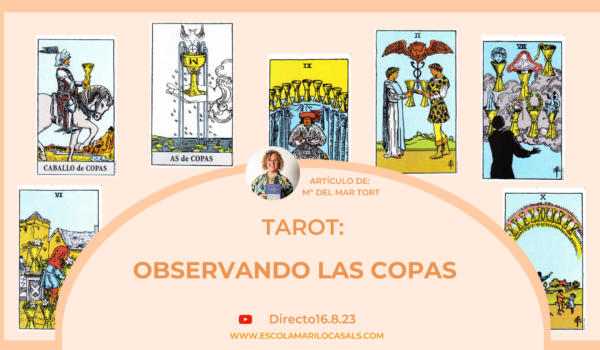 Observando las Copas- Arcanos menores
