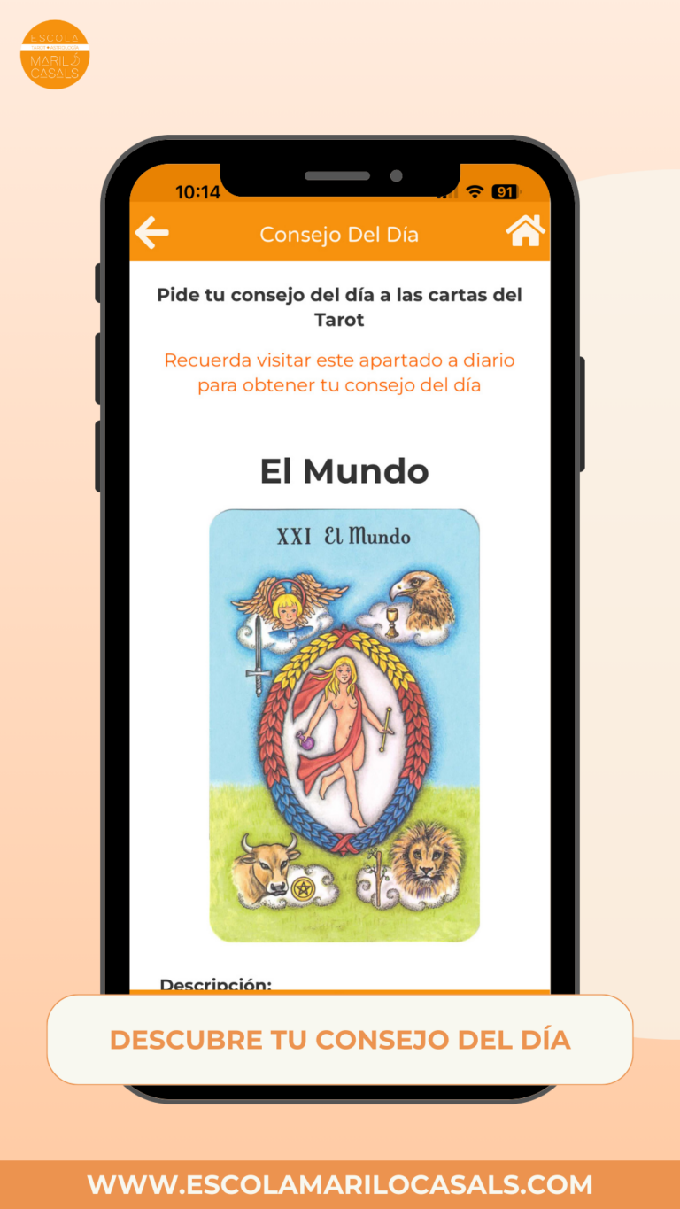 5 Descubre tu consejo del día