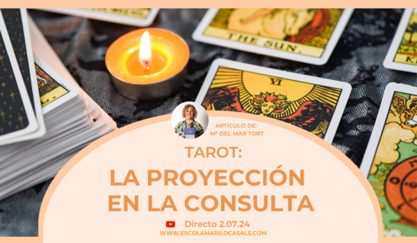 Maria del Mar Tort nos explica lo que es la proyección en una consulta y la diferencia con la intuición