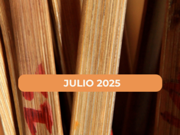 Cleromancia, curso de verano