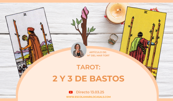María del Mar Tort nos habla del 2 y 3 de bastos