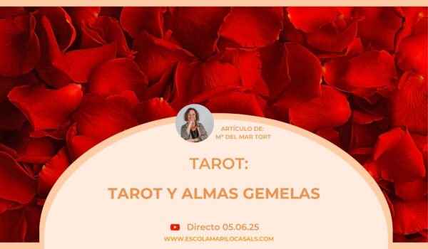 María del Mar nos explica qué son almas gemelas y cómo verlo en el Tarot.